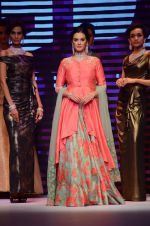 Evelyn Sharma walk the ramp for IIJW 2015  Day 2 on 4th Aug 2015